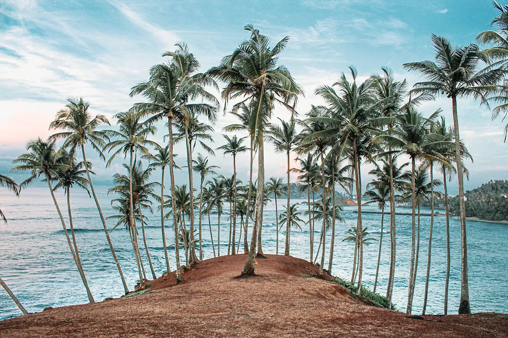 Yala to Bentota via Mirissa & Galle